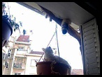 0010 06novembre acrobaties